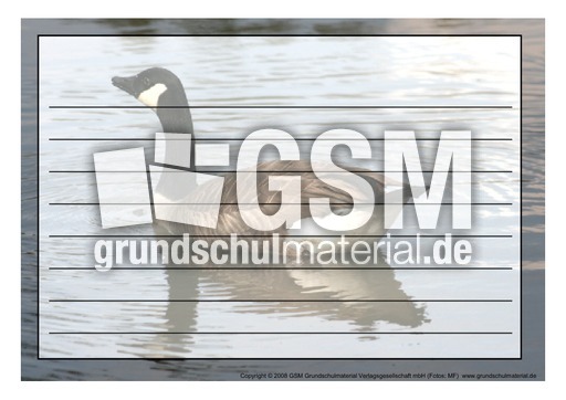 Schmuckrahmen-Kanadagans-1.pdf